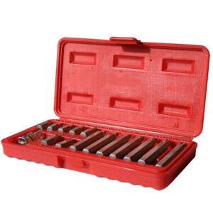 Juego 15 puntas torx - T20 a 55 / Cortas y Largas