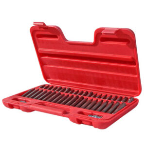 Juego 42 puntas Torx - Allen - Estriadas  / Cortas y Largas